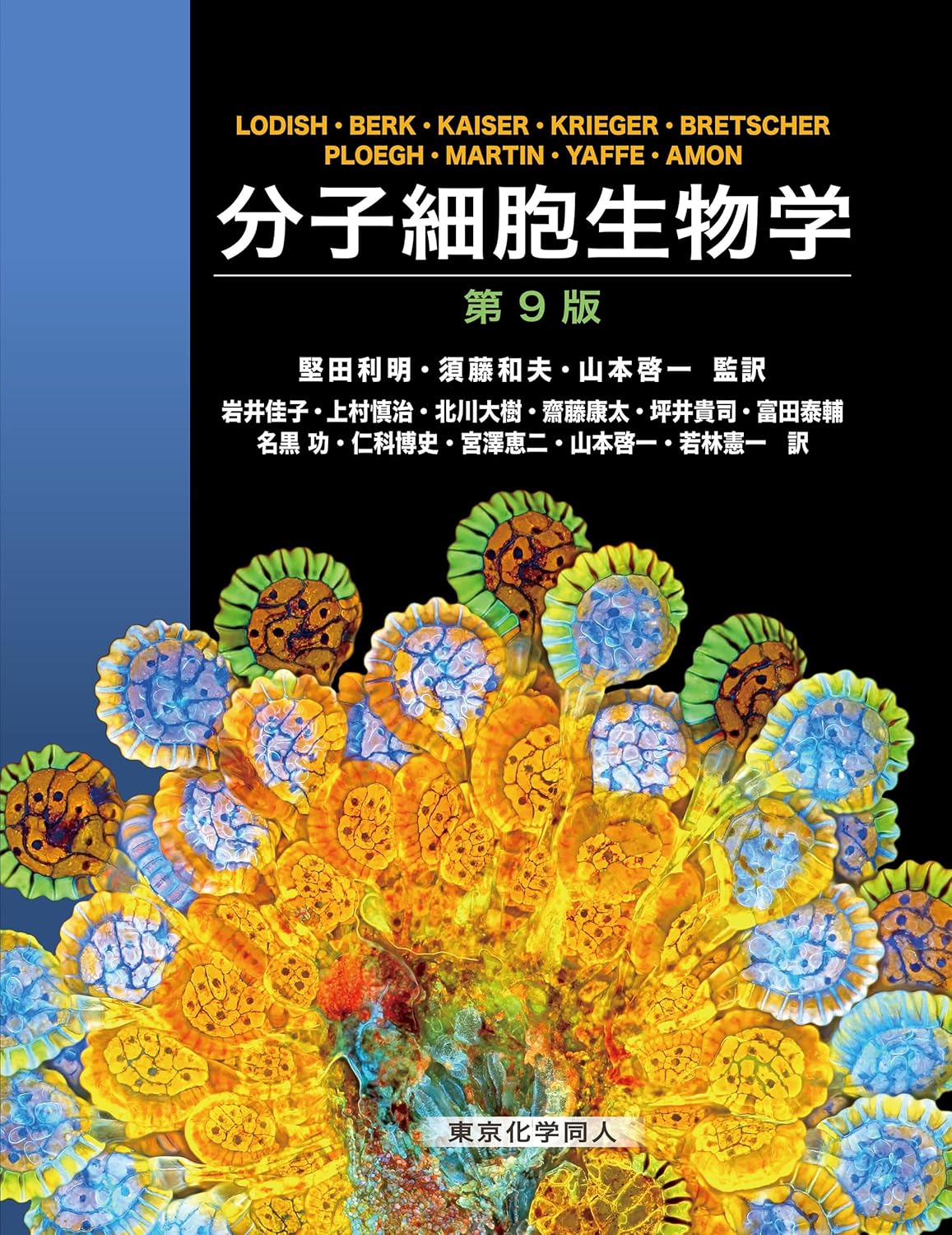 生物学・分子生物学テキストなど計41冊